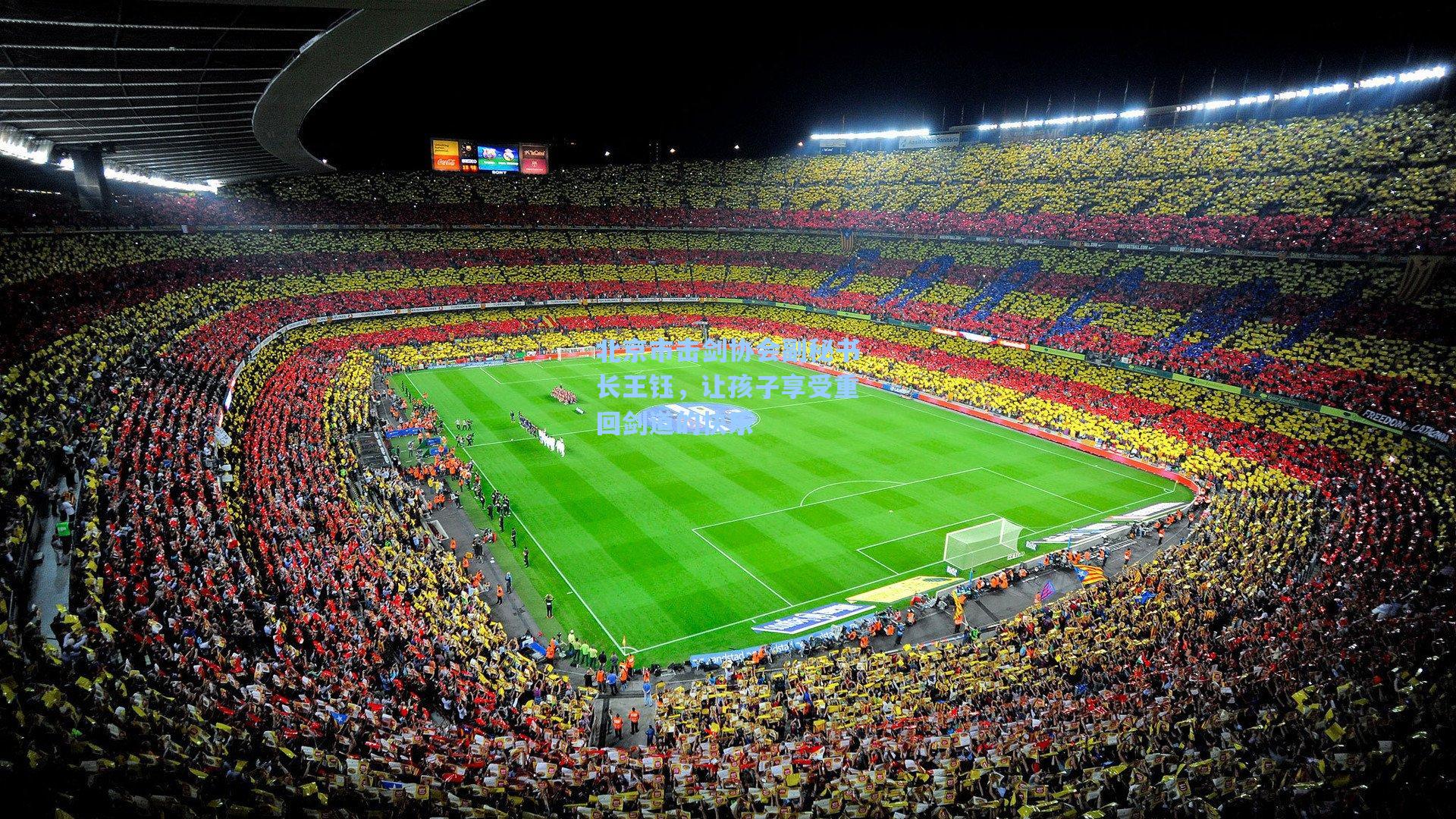 北京市击剑协会副秘书长王钰,让孩子享受重回剑道的快乐