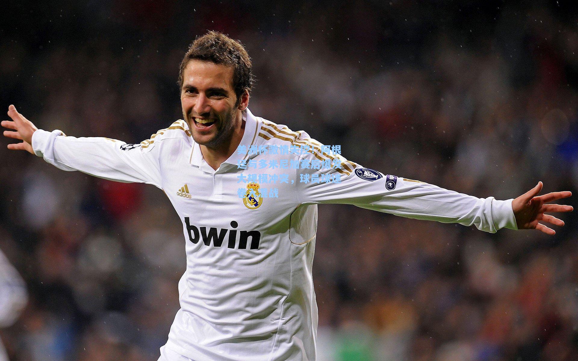 美洲杯激情失控！阿根廷与多米尼加赛后爆发大规模冲突，球员球迷卷入混战